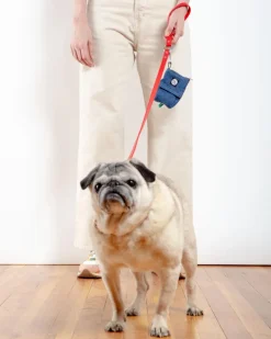 City Leash in Real Red (Made in the USA)