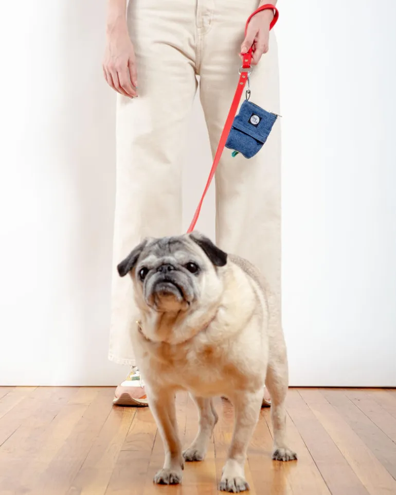 City Leash in Real Red (Made in the USA)
