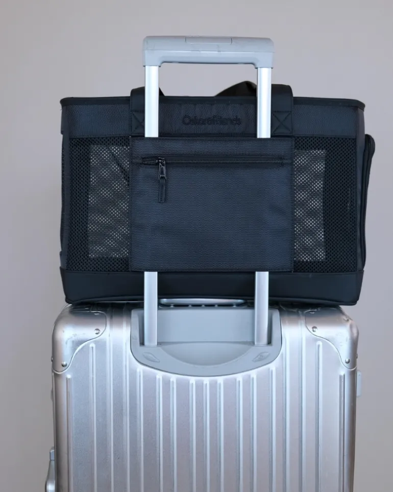 City to Sky Pet Travel Carrier