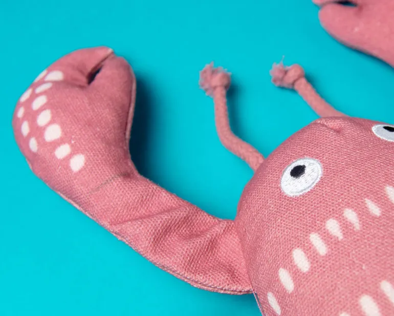 Claw It A Day Canvas Dog Toy