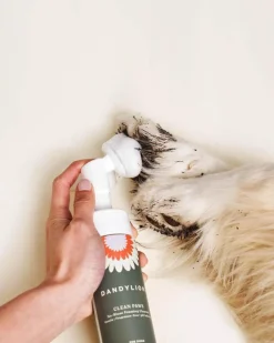 Clean Paws No-Rinse Foaming Cleanser for Dogs (Vegan & Cruelty Free)