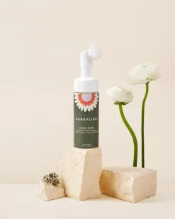 Clean Paws No-Rinse Foaming Cleanser for Dogs (Vegan & Cruelty Free)