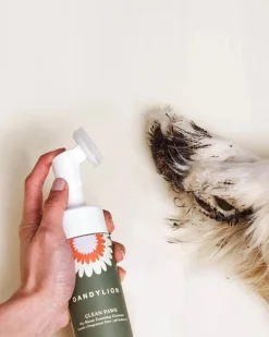 Clean Paws No-Rinse Foaming Cleanser for Dogs (Vegan & Cruelty Free)