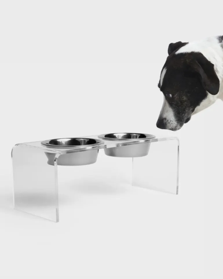 Clear Lucite Double Bowl Pet Feeder (Made in the USA) (Direct-Ship)