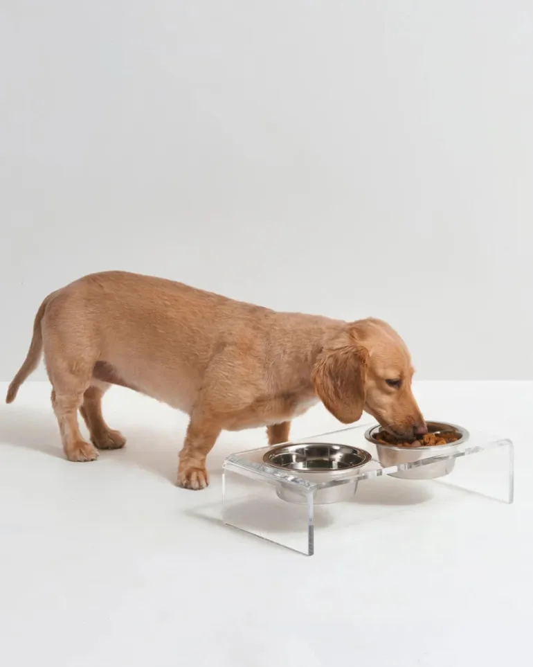 Clear Lucite Double Bowl Pet Feeder (Made in the USA) (Direct-Ship)