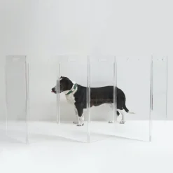 Clear Lucite Freestanding Zig-Zag Pet Gate (Made in the USA) (Direct-Ship)