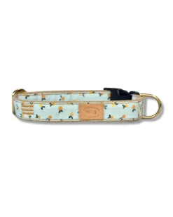 Clementine Dog Collar (Made in the USA)