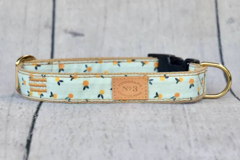 Clementine Dog Lead (Made in the USA)