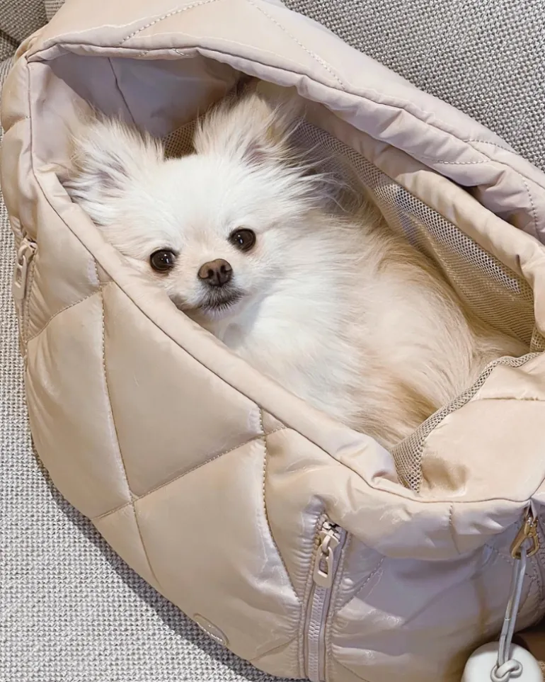 Cloud Crossbody Pet Carrier in Beige or Black
