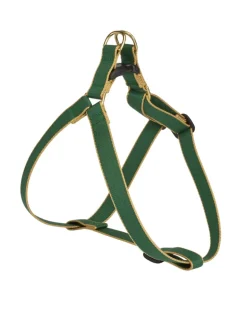 Color Market Bamboo Dog Harness in Forest & Tan (Made in the USA)