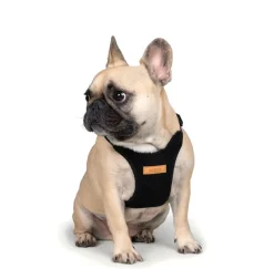 Comfort Dog Harness in Black