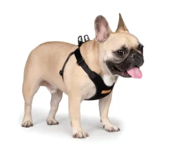 Comfort Dog Harness in Black