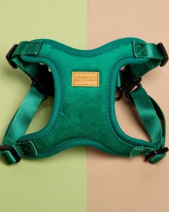 Comfort Dog Harness in Green