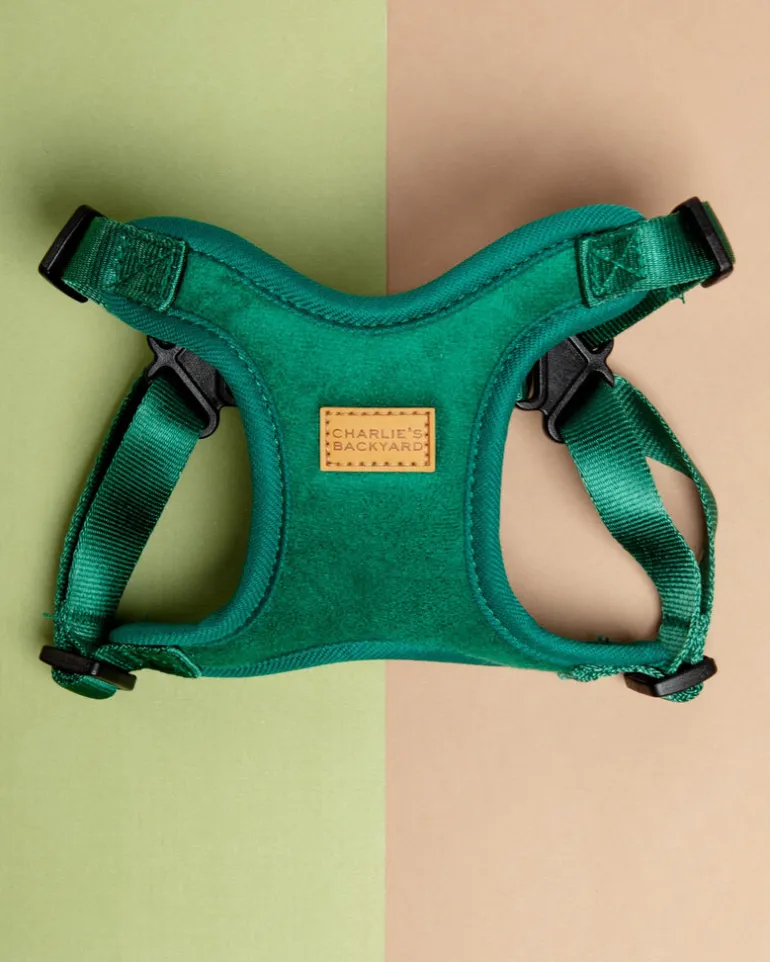 Comfort Dog Harness in Green