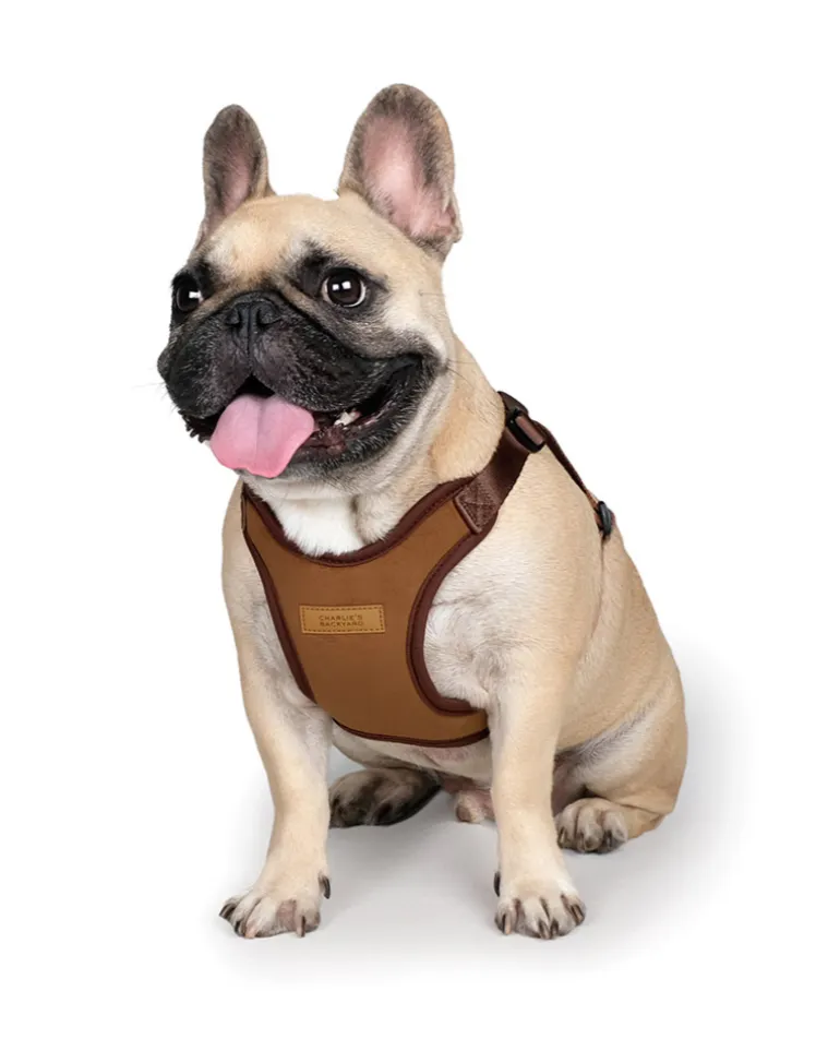 Comfort Dog Harness in Tan