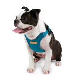 Comfort Dog Harness in Teal