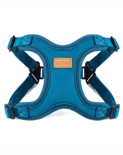 Comfort Dog Harness in Teal