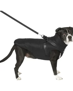 Complete Control Harness Winter Dog Jacket