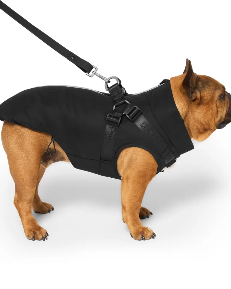Complete Control Harness Winter Dog Jacket