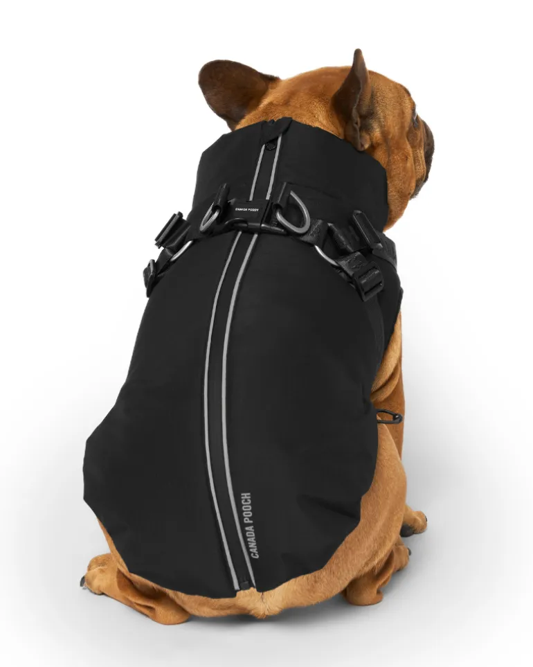 Complete Control Harness Winter Dog Jacket
