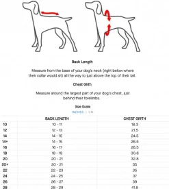 Complete Control Harness Winter Dog Jacket