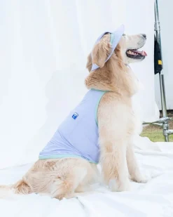 Cooling Dog Tank Top in Lavender