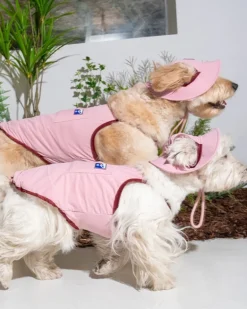 Cooling Dog Tank Top in Pink