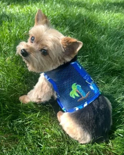 Cool Mesh Dog Harness in Blue Ocean