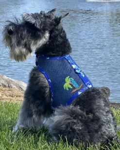 Cool Mesh Dog Harness in Blue Ocean