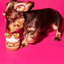 Cotton Crochet Carrot Cake Dog Toy