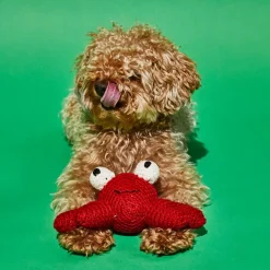 Cotton Crochet Crab Squeaky Plush Dog Toy