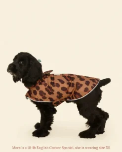 Cougar Dog Raincoat