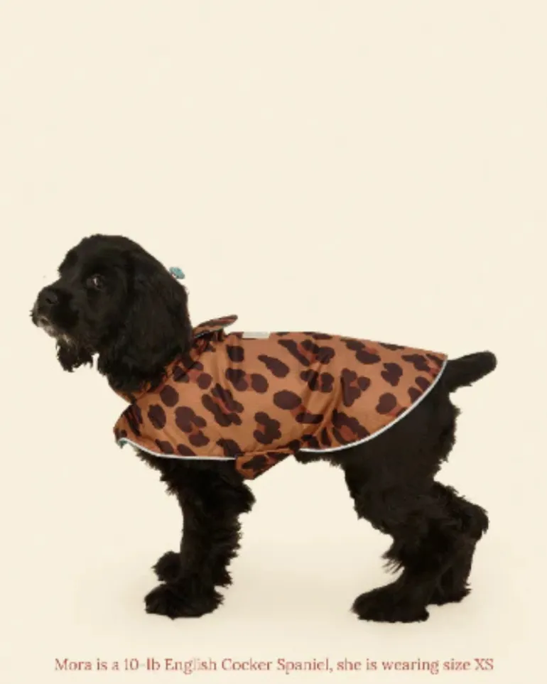 Cougar Dog Raincoat