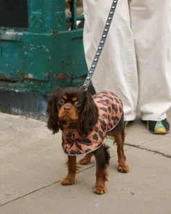 Cougar Dog Raincoat