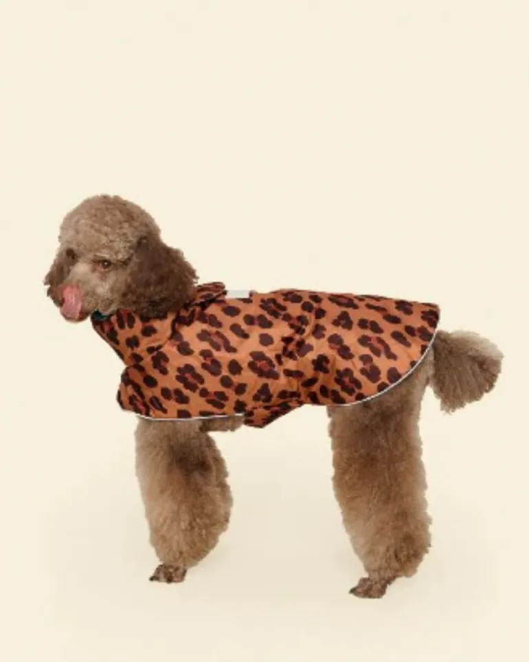 Cougar Dog Raincoat