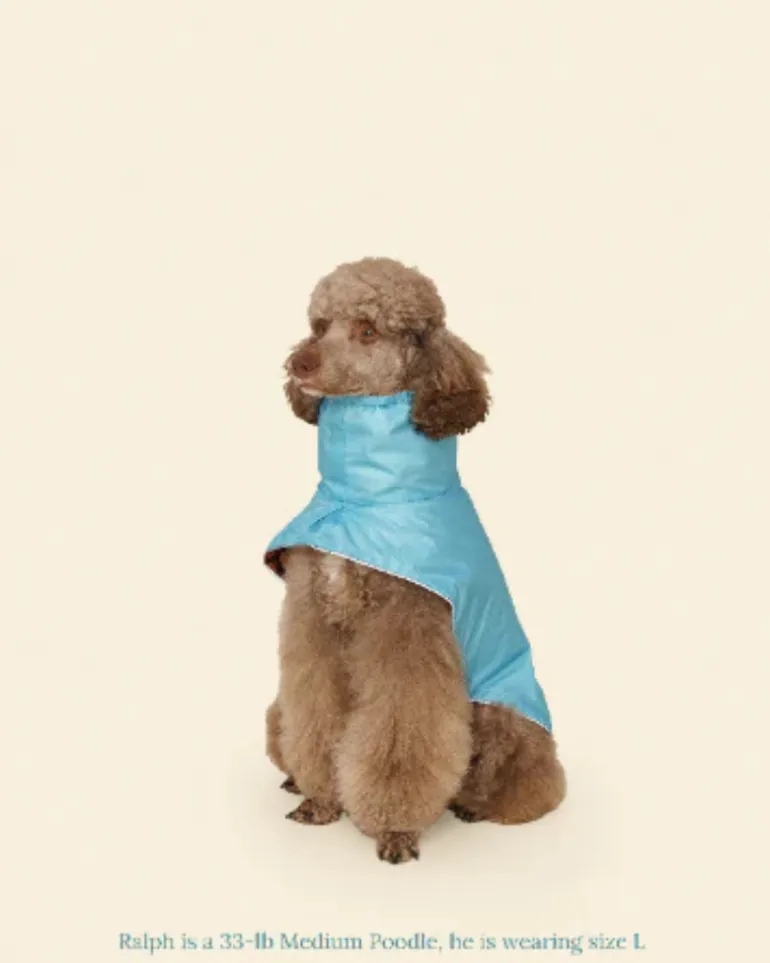 Cougar Dog Raincoat