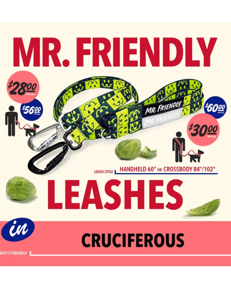Cruciferous Crossbody Dog Leash with Black Hardware (Made in the USA)