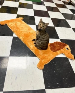Dachshund Door, Bath + Feeding Mat