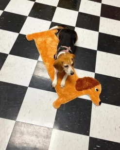 Dachshund Door, Bath + Feeding Mat