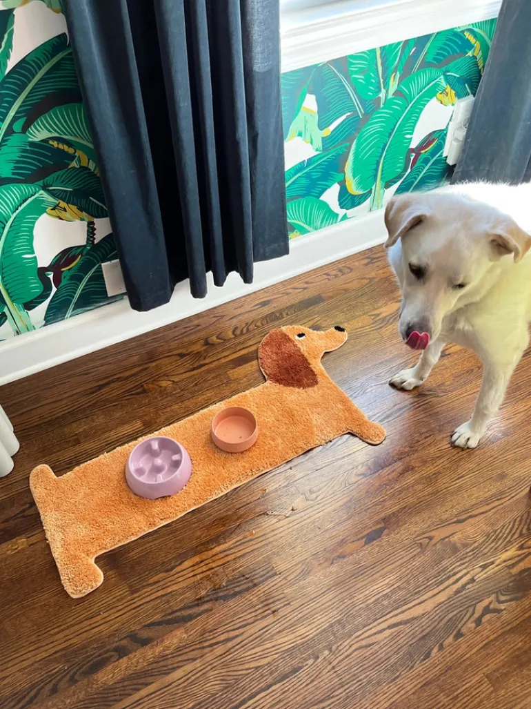 Dachshund Door, Bath + Feeding Mat
