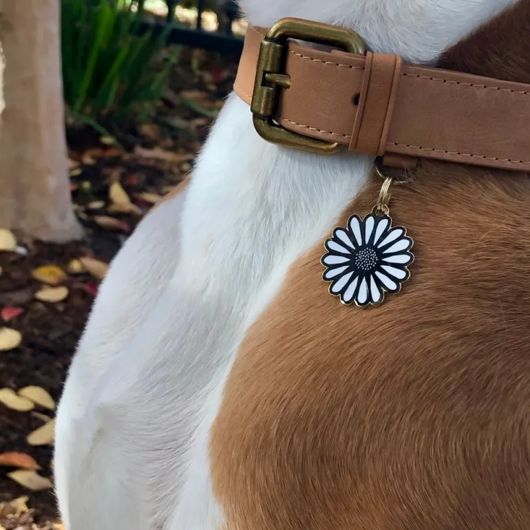 Daisy ID Tag (Custom)