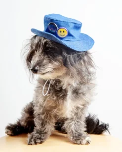 Denim Pet Bucket Hat (Made in the USA)