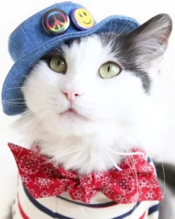 Denim Pet Bucket Hat (Made in the USA)
