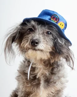 Denim Pet Bucket Hat (Made in the USA)
