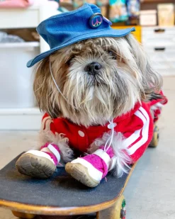 Denim Pet Bucket Hat (Made in the USA)