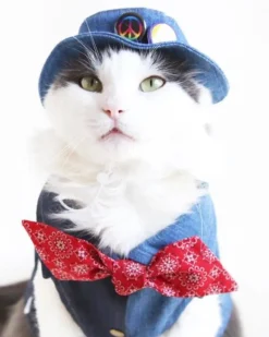 Denim Pet Bucket Hat (Made in the USA)