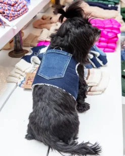 Denim & Shearling Sherpa Dog Harness (Made in the USA) (Dog & Co. Exclusive)