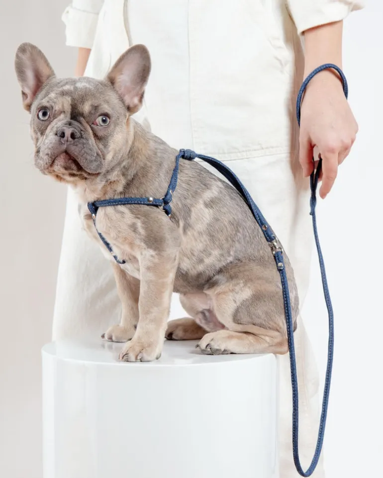 Denim Step-In Adjustable Dog Harness (Made in the USA)