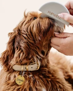 Detailer Comb for Dogs