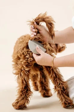Detailer Comb for Dogs
